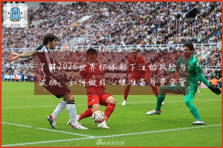 了解2026世界杯体彩下注的风险与波动，如何做好心理准备与资金管理