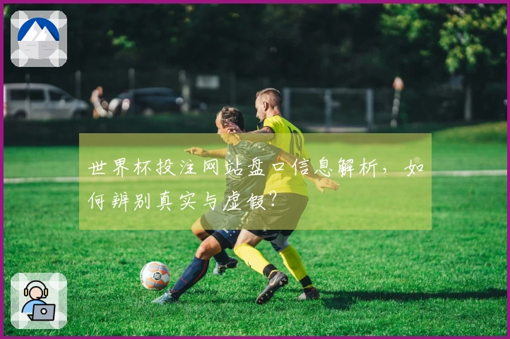 世界杯投注网站盘口信息解析，如何辨别真实与虚假？