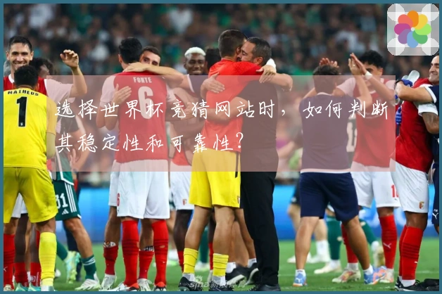 选择世界杯竞猜网站时，如何判断其稳定性和可靠性？
