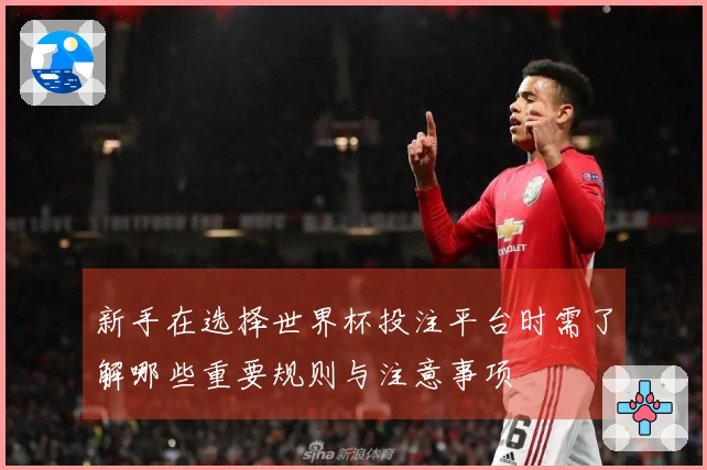 新手在选择世界杯投注平台时需了解哪些重要规则与注意事项
