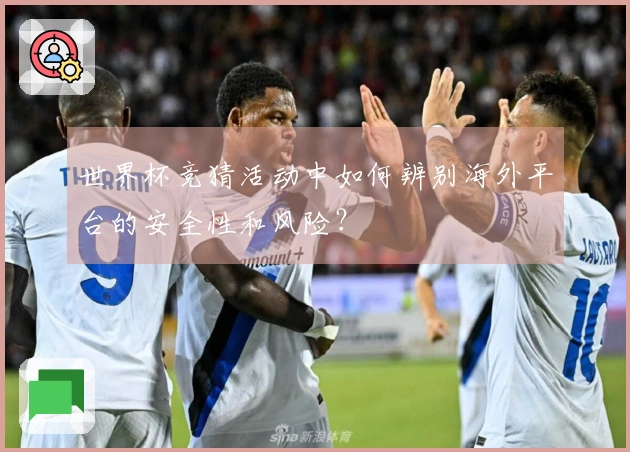 世界杯竞猜活动中如何辨别海外平台的安全性和风险？