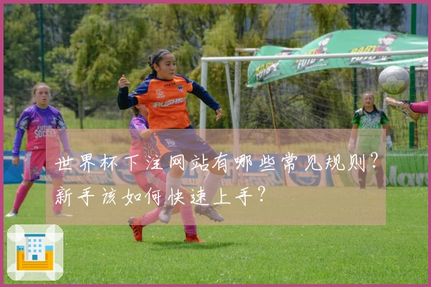 世界杯下注网站有哪些常见规则？新手该如何快速上手？