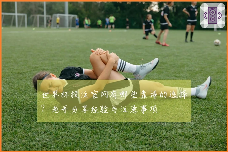 世界杯投注官网有哪些靠谱的选择？老手分享经验与注意事项