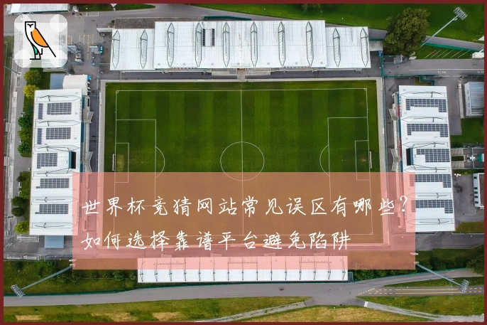 世界杯竞猜网站常见误区有哪些?如何选择靠谱平台避免陷阱
