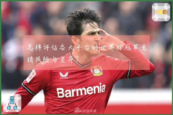 怎样评估各大平台的世界杯冠军竞猜风险与差异？
