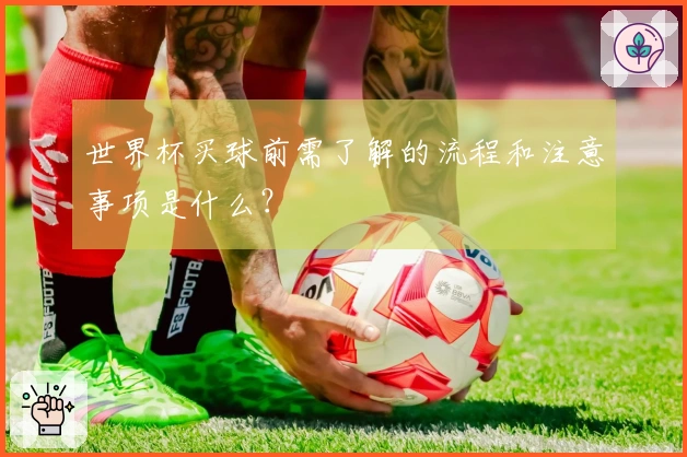 世界杯买球前需了解的流程和注意事项是什么？