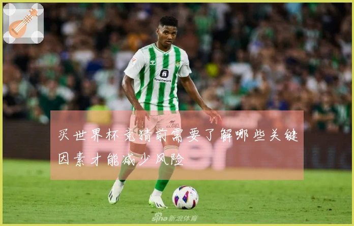 买世界杯竞猜前需要了解哪些关键因素才能减少风险