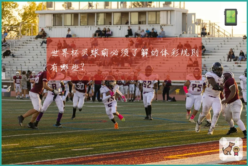 世界杯买球前必须了解的体彩规则有哪些?