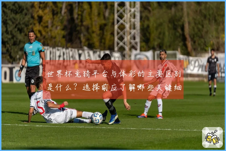 世界杯竞猜平台与体彩的主要区别是什么？选择前应了解哪些关键细节？