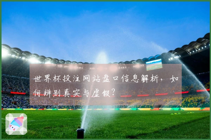 世界杯投注网站盘口信息解析，如何辨别真实与虚假？