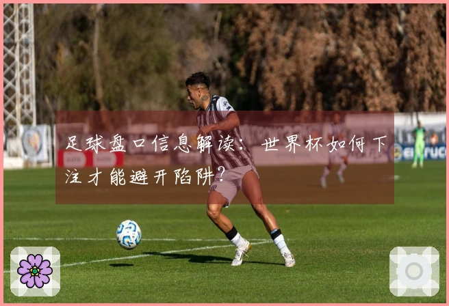 足球盘口信息解读:世界杯如何下注才能避开陷阱?