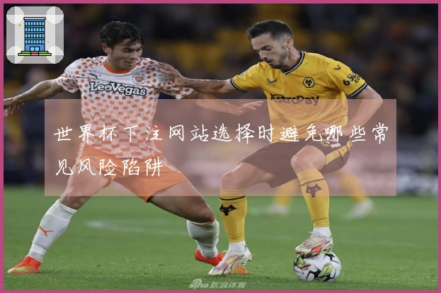 世界杯下注网站选择时避免哪些常见风险陷阱