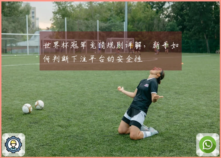 世界杯冠军竞猜规则详解，新手如何判断下注平台的安全性