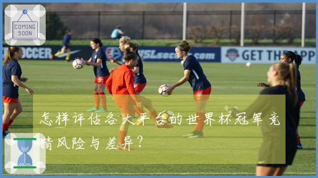 怎样评估各大平台的世界杯冠军竞猜风险与差异？