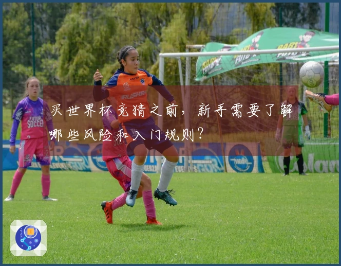 买世界杯竞猜之前，新手需要了解哪些风险和入门规则？
