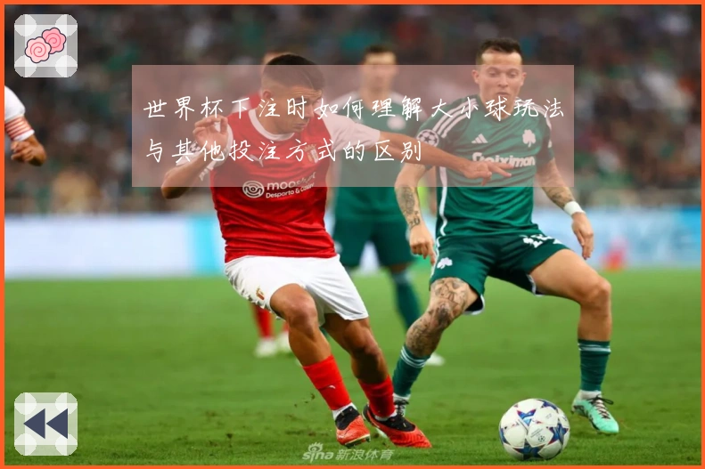 世界杯下注时如何理解大小球玩法与其他投注方式的区别