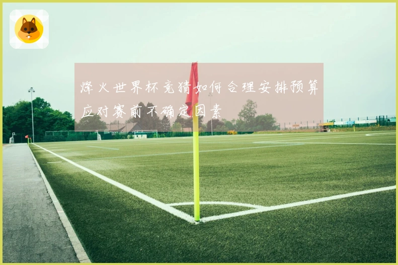 烽火世界杯竞猜如何合理安排预算应对赛前不确定因素