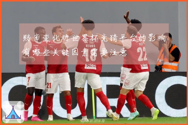 赔率变化对世界杯竞猜平台的影响有哪些关键因素需要注意