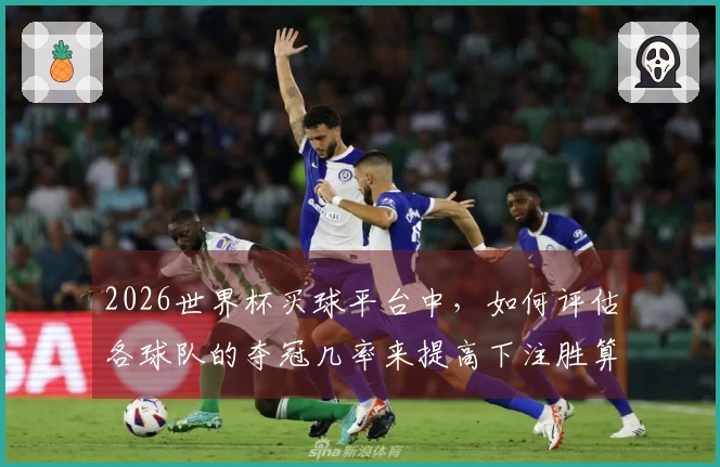 2026世界杯买球平台中，如何评估各球队的夺冠几率来提高下注胜算