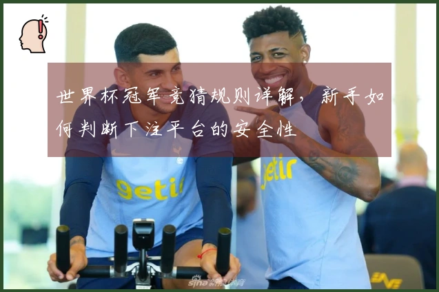 世界杯冠军竞猜规则详解，新手如何判断下注平台的安全性