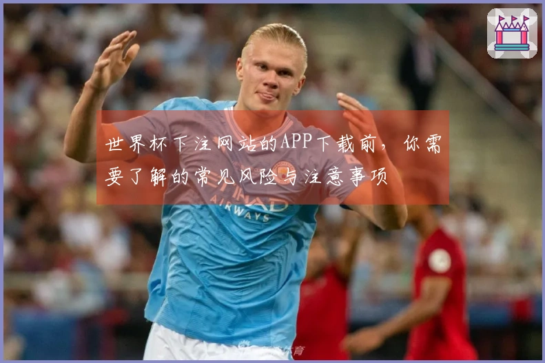 世界杯下注网站的APP下载前，你需要了解的常见风险与注意事项
