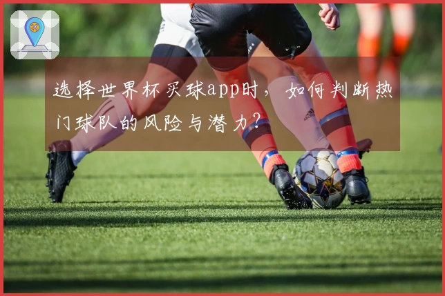 选择世界杯买球app时，如何判断热门球队的风险与潜力？