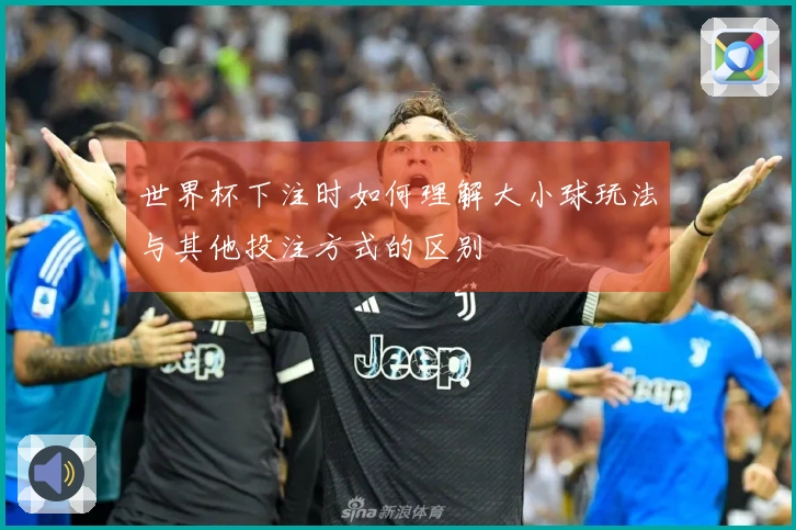 世界杯下注时如何理解大小球玩法与其他投注方式的区别